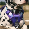 Metal Aluminum Military Dog Tags