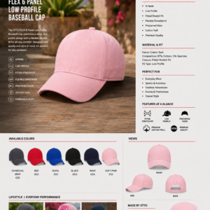 Flex 6 Panel Low Profile Baseball Cap