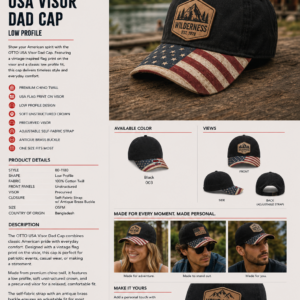 USA Visor Dad Cap